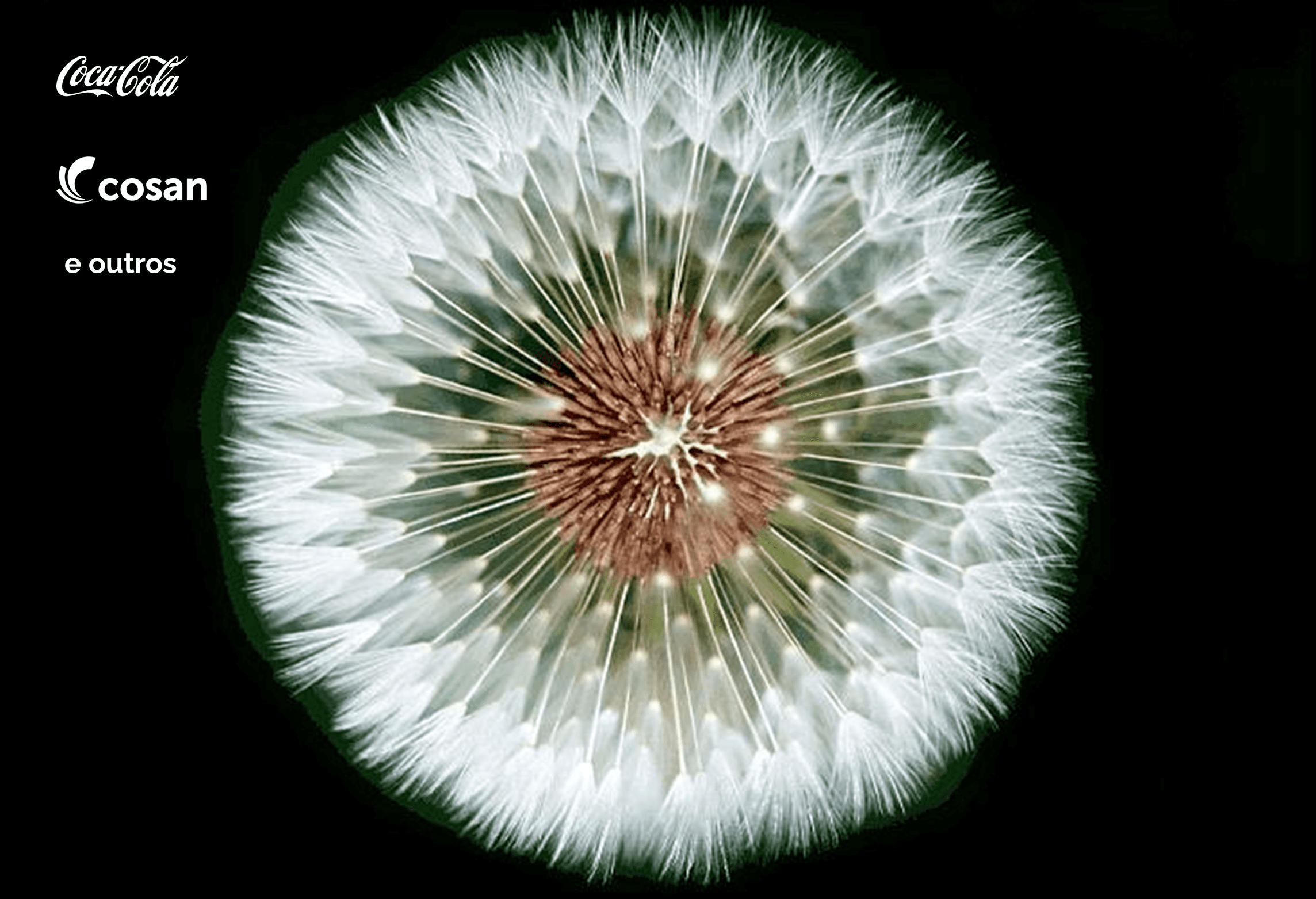 Croma Design de Inovação 10 Slide1